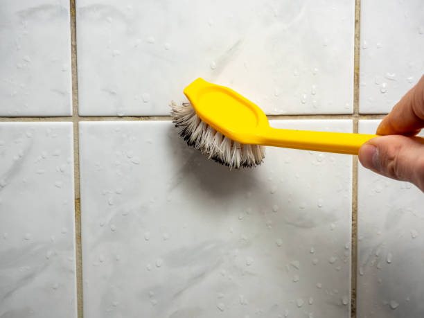 Office Mold Removal Services in Montpelier, IN