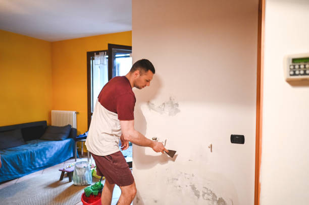Best Emergency Mold Removal  in Montpelier, IN